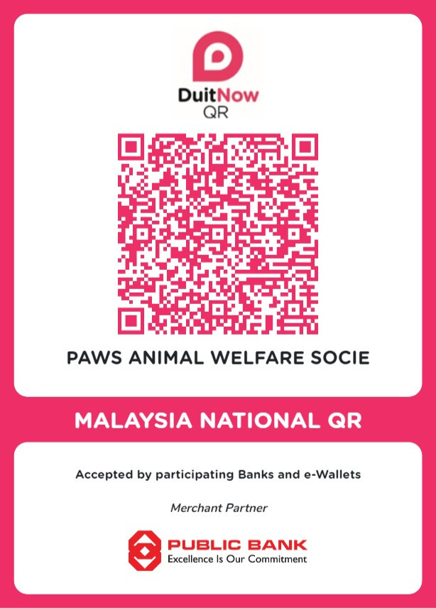 PAWS Public Bank DuitNow QR